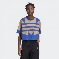 Γυναικεία Adidas Originals Large Logo Women's Tee ROYBLU