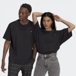 Γυναικεία Adidas Originals Adicolor Premium Unisex T-shirt BLACK