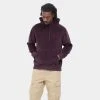 Γυναικεία Carhartt WIP Hooded United Script Ανδρική Μπλούζα με Κουκούλα Dark Plum
