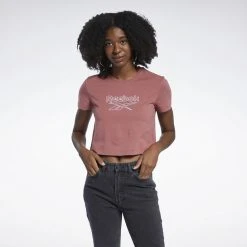 Reebok Classics Foundation Big Logo Γυναικεία Μπλούζα MYSROS