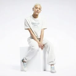 Γυναικεία Reebok Classics Big Logo Γυναικείο T-Shirt CHAMEL -Γυναικεία Ρούχα Εκπτώσεις reebok classics cl pf big logo tee 4