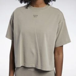 Reebok Classics Natural Dye Γυναικεία Crop Μπλούζα TREKGR -Γυναικεία Ρούχα Εκπτώσεις reebok classics cl rbk nd cropped t 23