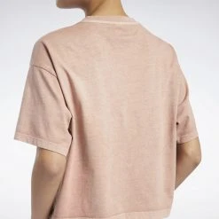 Γυναικεία Reebok Classics Γυναικείο T-Shirt CANCOR 10 Γυναικεία Reebok Classics Γυναικείο T-Shirt CANCOR -Γυναικεία Ρούχα Εκπτώσεις reebok classics cl rbk nd cropped t shirt 9