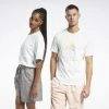 Γυναικεία Reebok Classics Graphic Unisex T-shirt CHALK