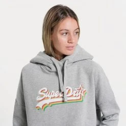 Superdry D1 Vintage Rainbow Γυναικεία Μπλούζα με Κουκούλα GREY MARL -Γυναικεία Ρούχα Εκπτώσεις superdry d1 vintage logo rainbow hood fouter gunai 2